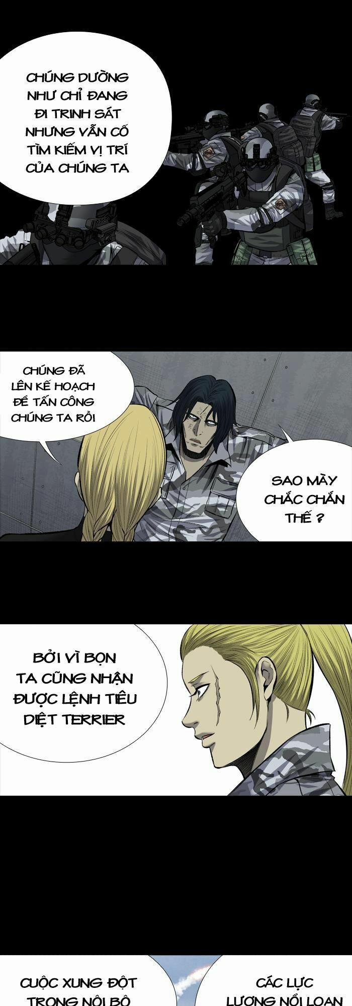 Thảm Họa Ong Độc 203 trang 25