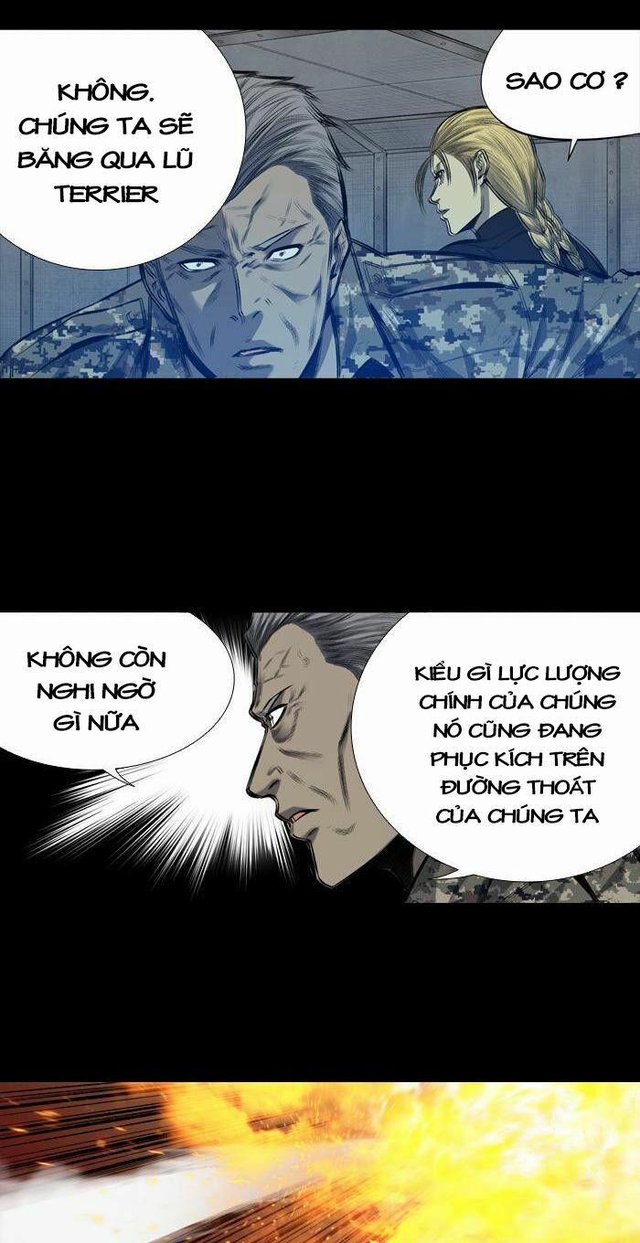 Thảm Họa Ong Độc 203 trang 35