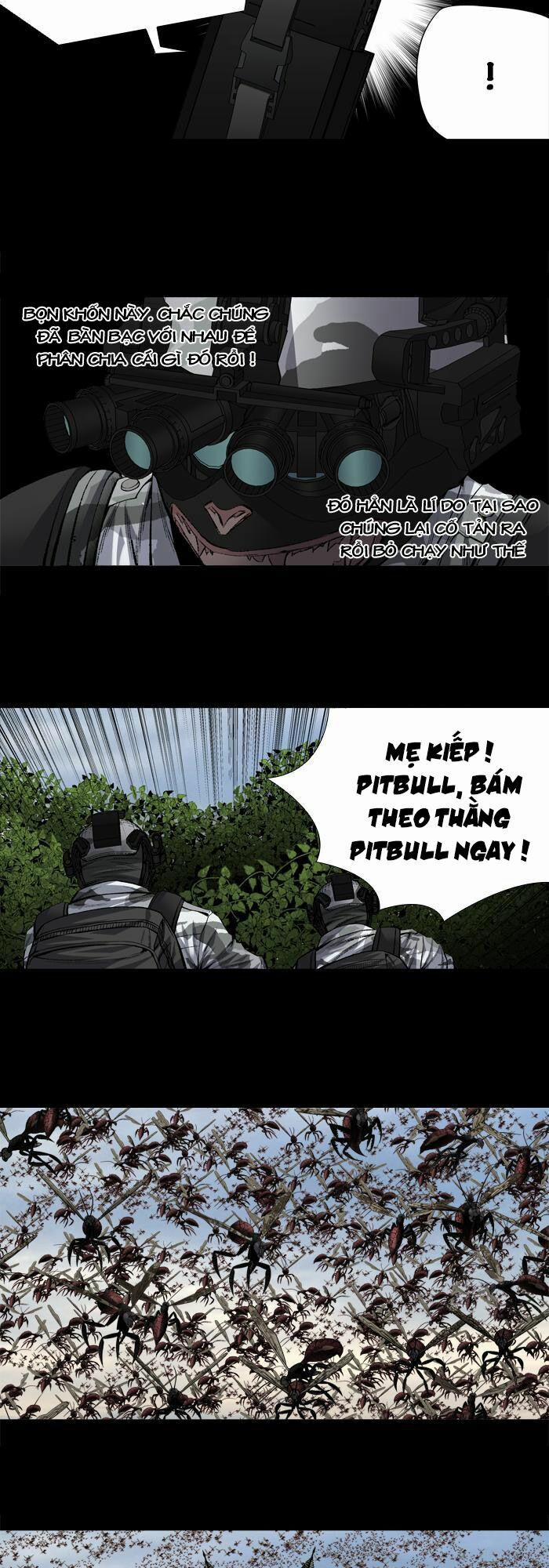 Thảm Họa Ong Độc 204 trang 14