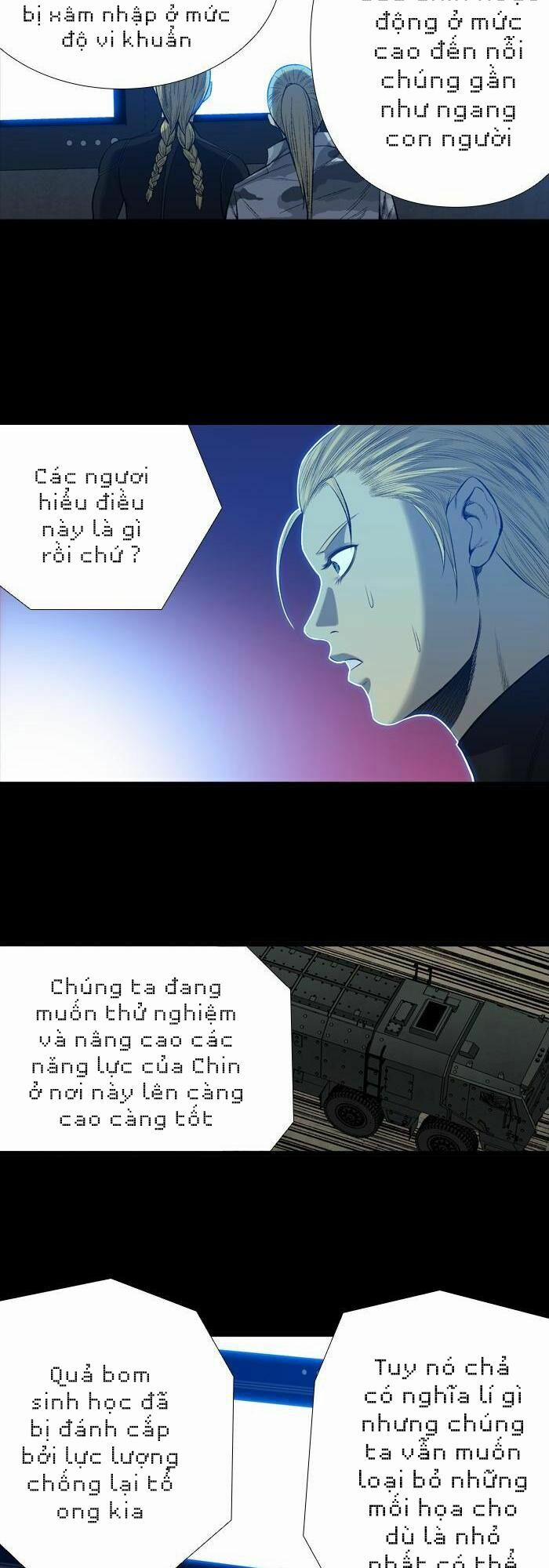 Thảm Họa Ong Độc 205 trang 11