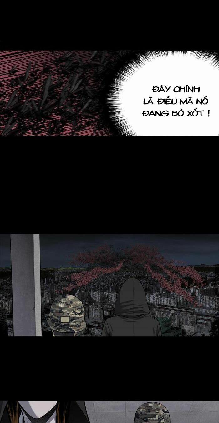 Thảm Họa Ong Độc 211 trang 10