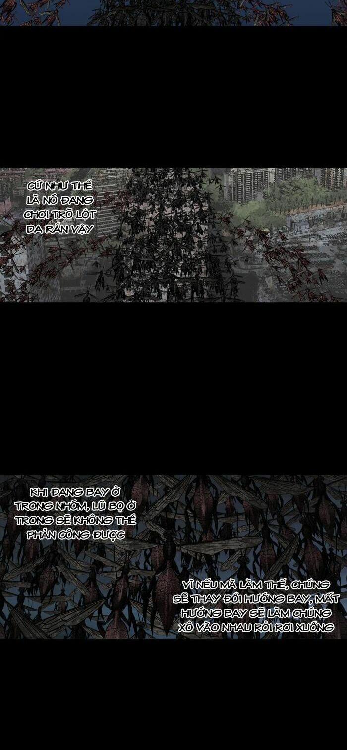 Thảm Họa Ong Độc 211 trang 7