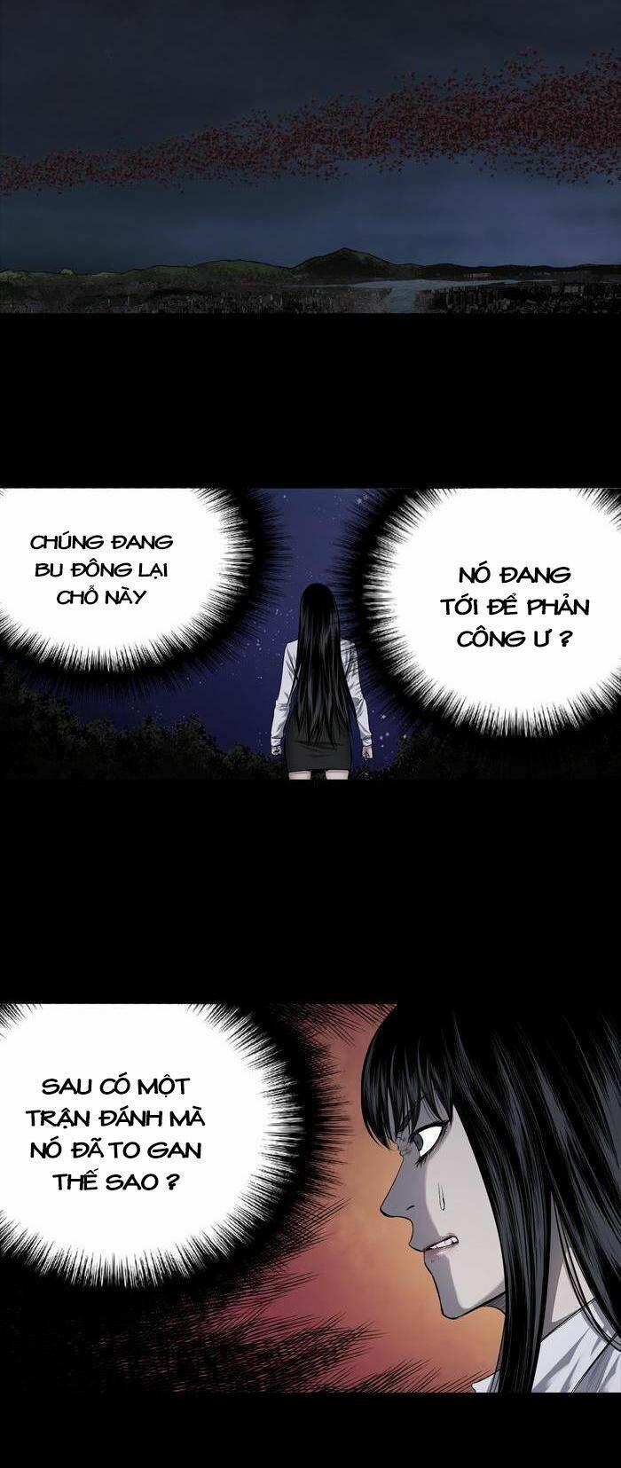 Thảm Họa Ong Độc 212 trang 14