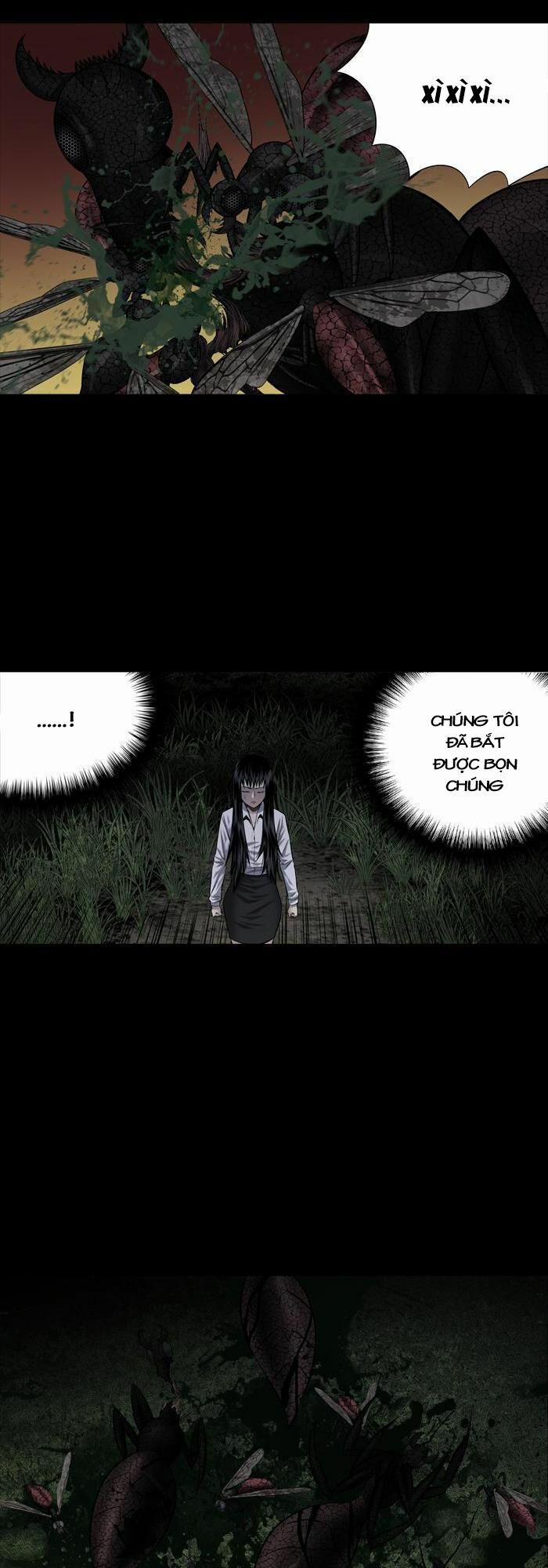 Thảm Họa Ong Độc 212 trang 25