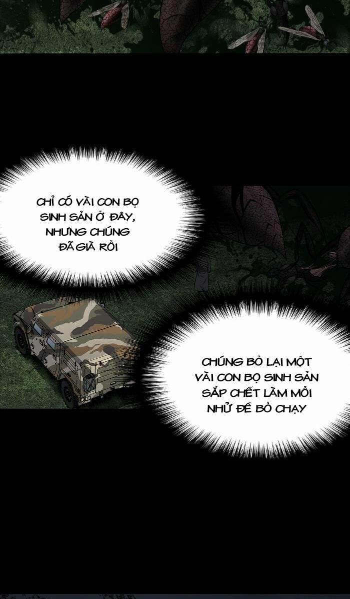 Thảm Họa Ong Độc 212 trang 26