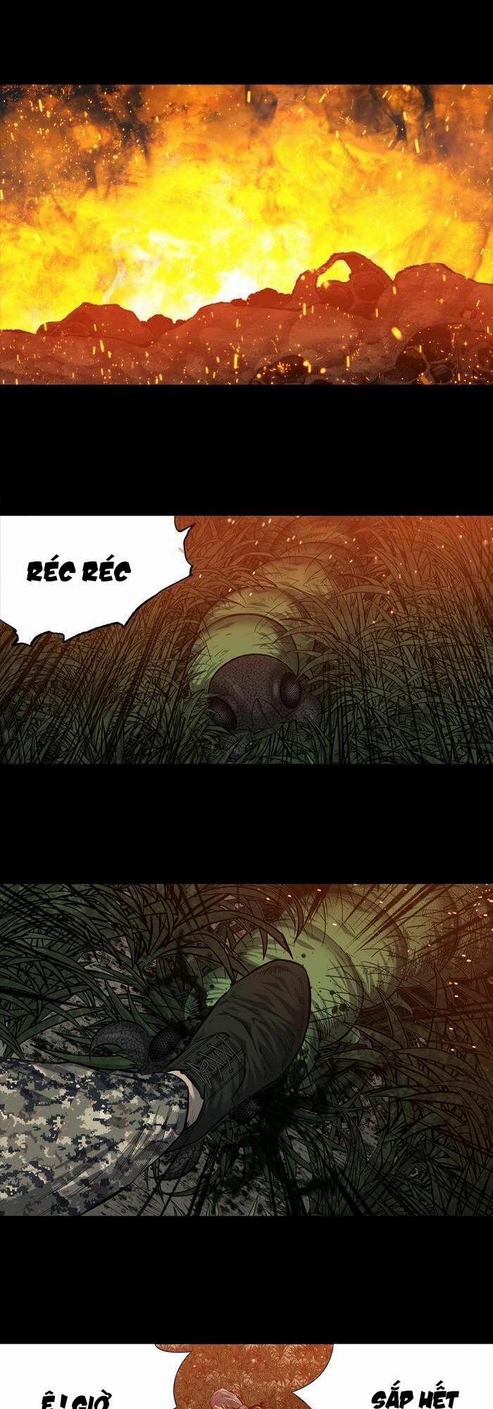 Thảm Họa Ong Độc 214 trang 18