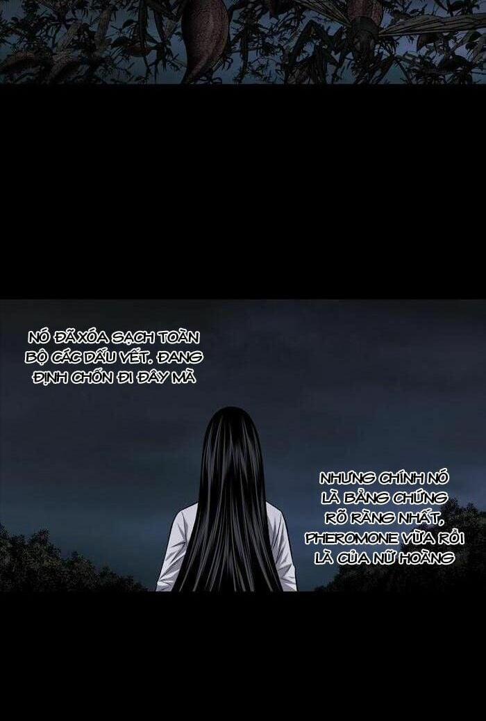 Thảm Họa Ong Độc 215 trang 15