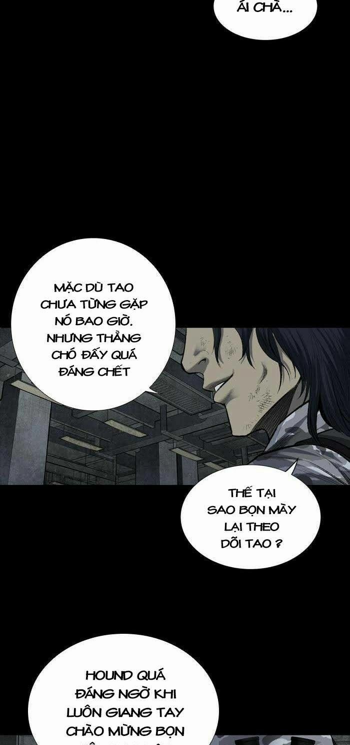 Thảm Họa Ong Độc 224 trang 24