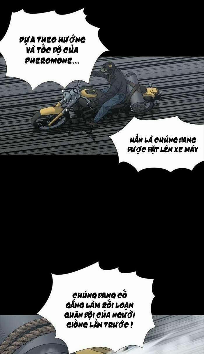 Thảm Họa Ong Độc 226 trang 15