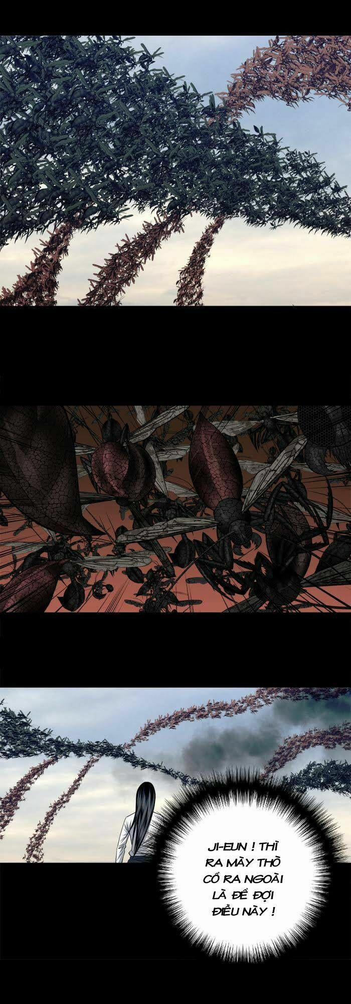 Thảm Họa Ong Độc 227 trang 16