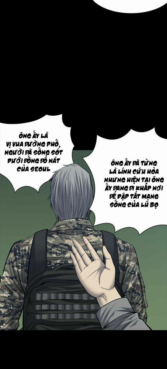 Thảm Họa Ong Độc 229 trang 31