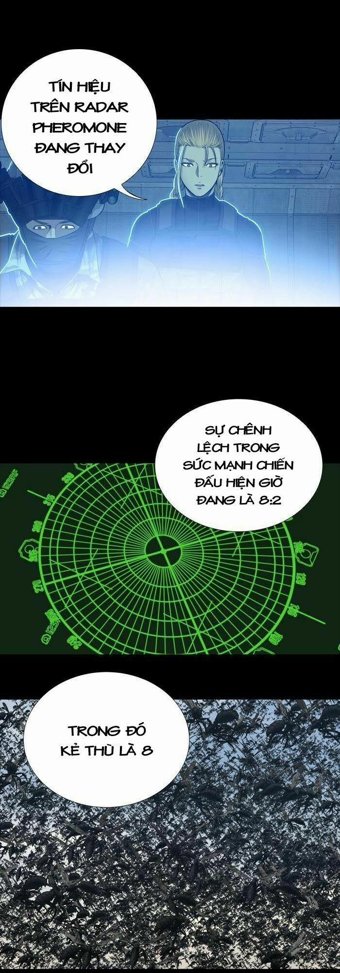 Thảm Họa Ong Độc 230 trang 22