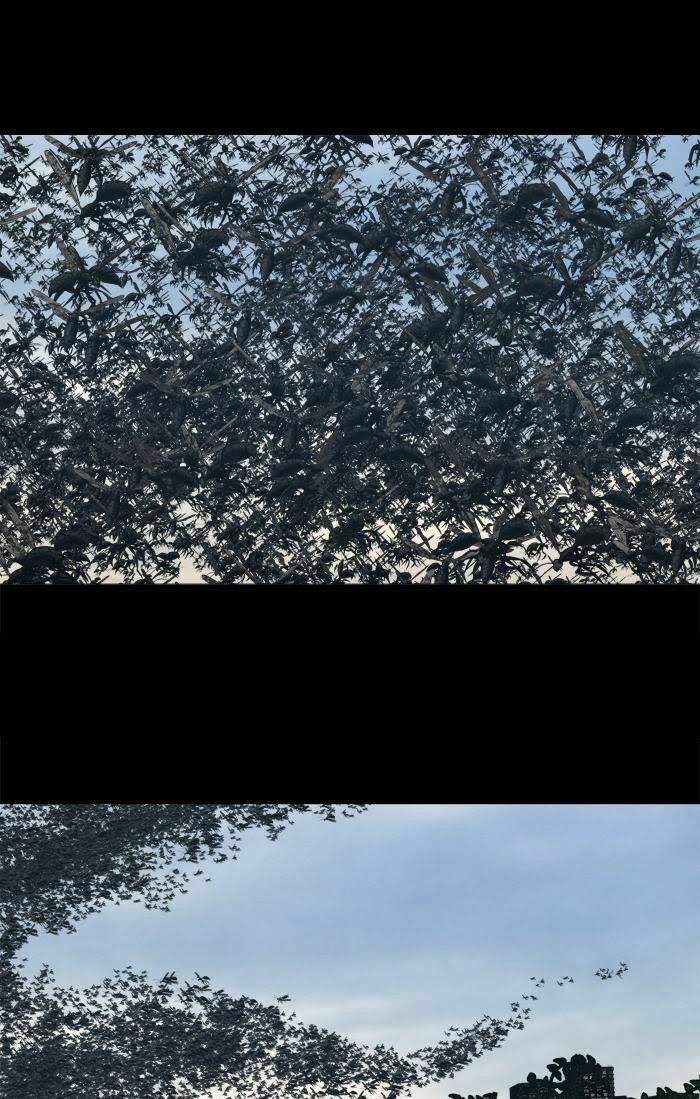 Thảm Họa Ong Độc 232 trang 19