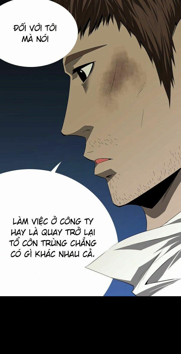 Thảm Họa Ong Độc 31 trang 16