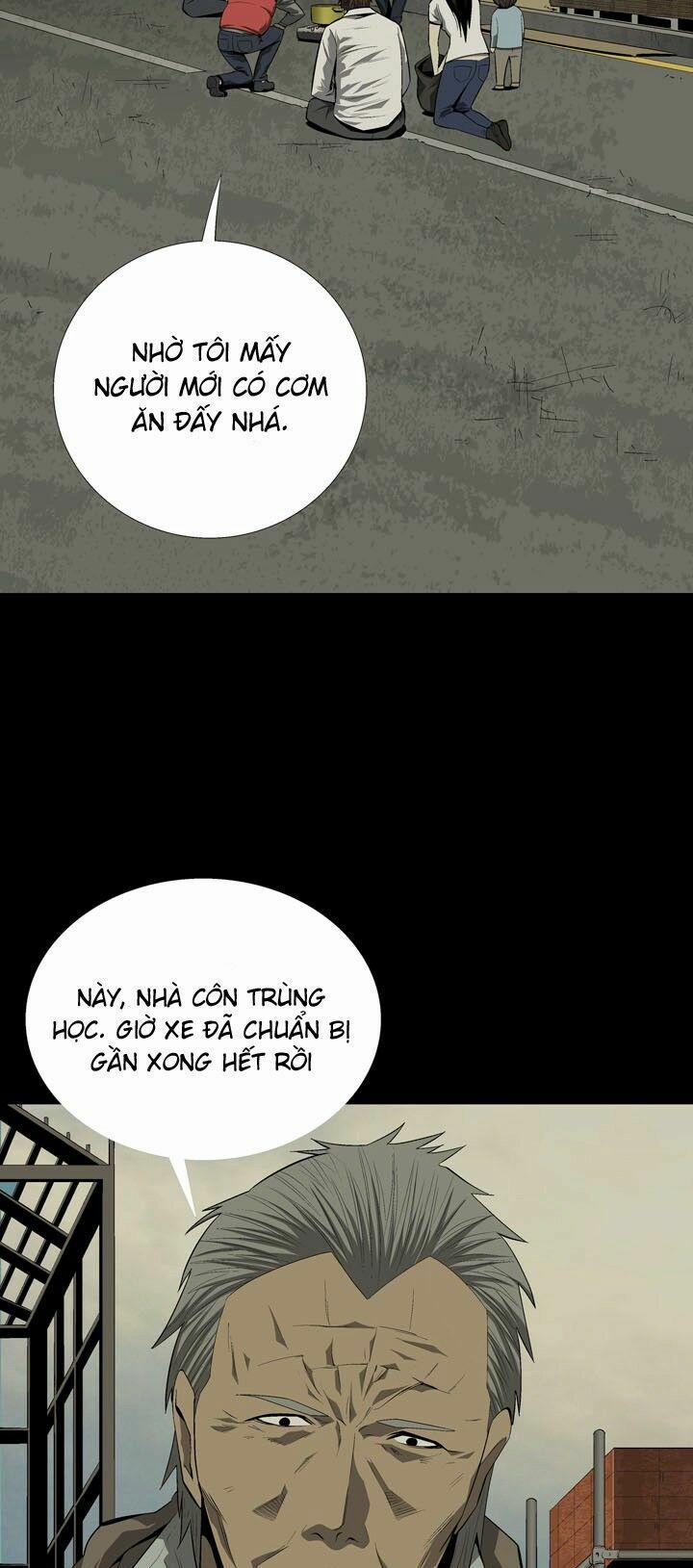 Thảm Họa Ong Độc 32 trang 39