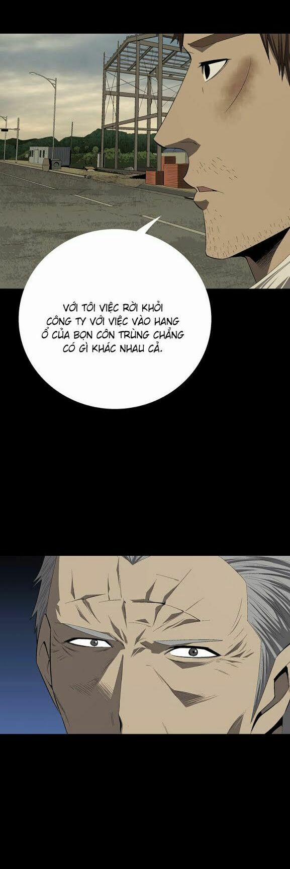 Thảm Họa Ong Độc 33 trang 24