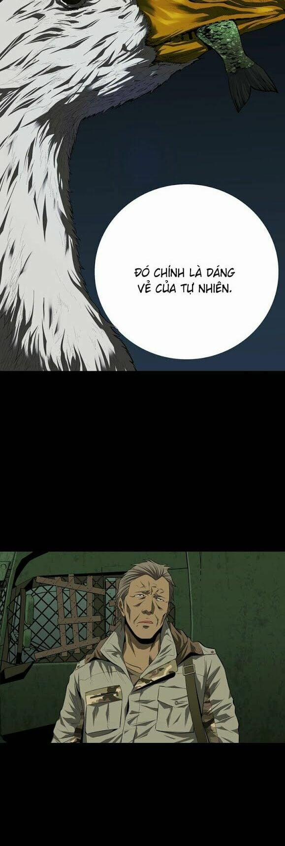 Thảm Họa Ong Độc 33 trang 27