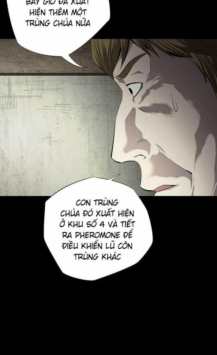 Thảm Họa Ong Độc 49 trang 20