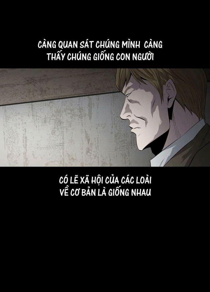 Thảm Họa Ong Độc 49 trang 31