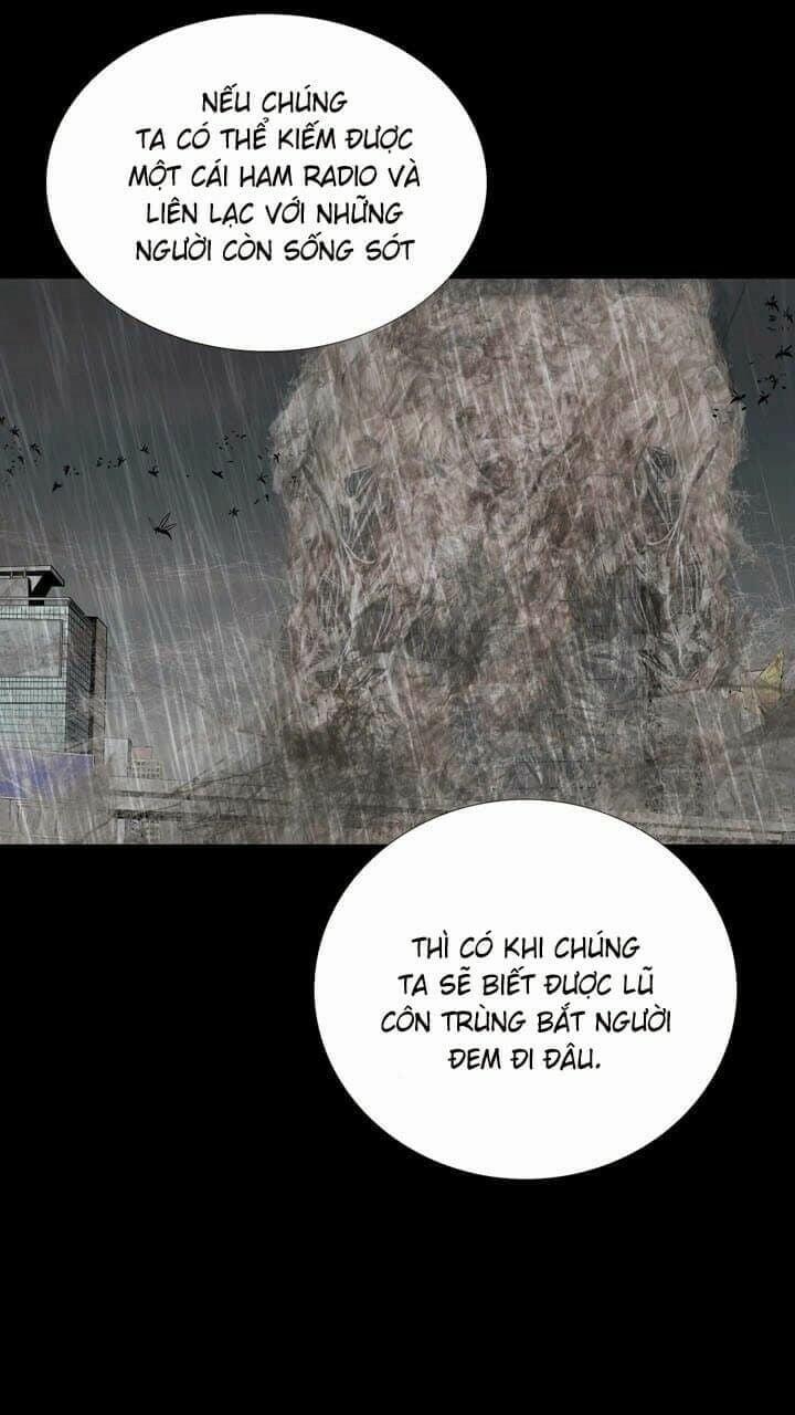 Thảm Họa Ong Độc 49 trang 51