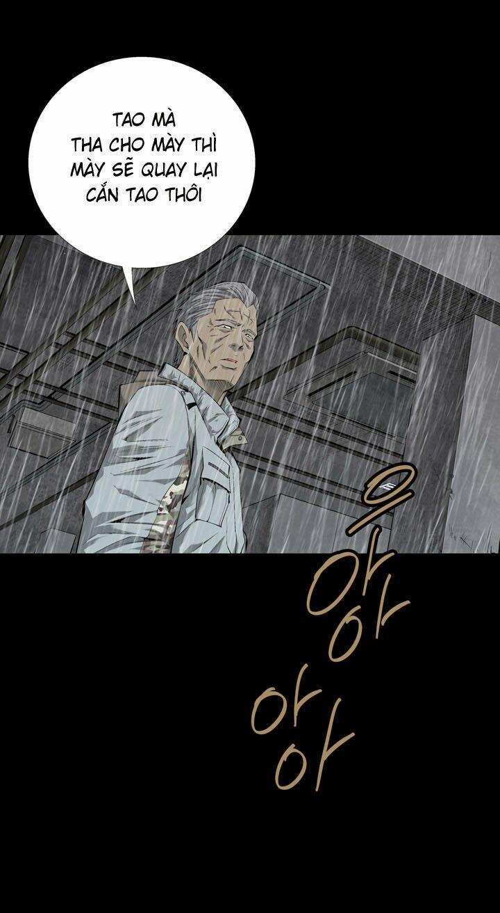 Thảm Họa Ong Độc 52 trang 31