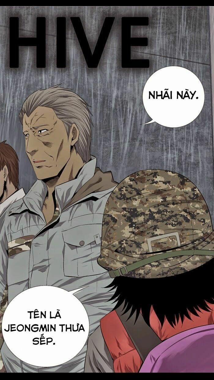 Thảm Họa Ong Độc 54 trang 0