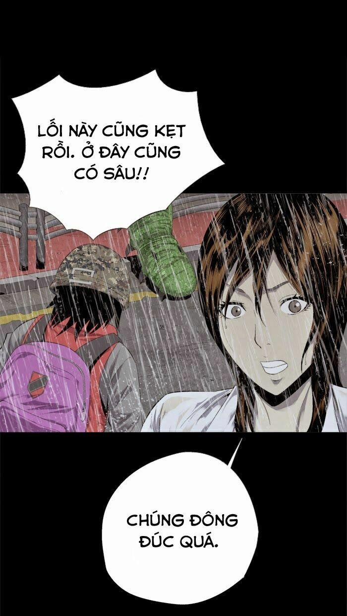 Thảm Họa Ong Độc 54 trang 46