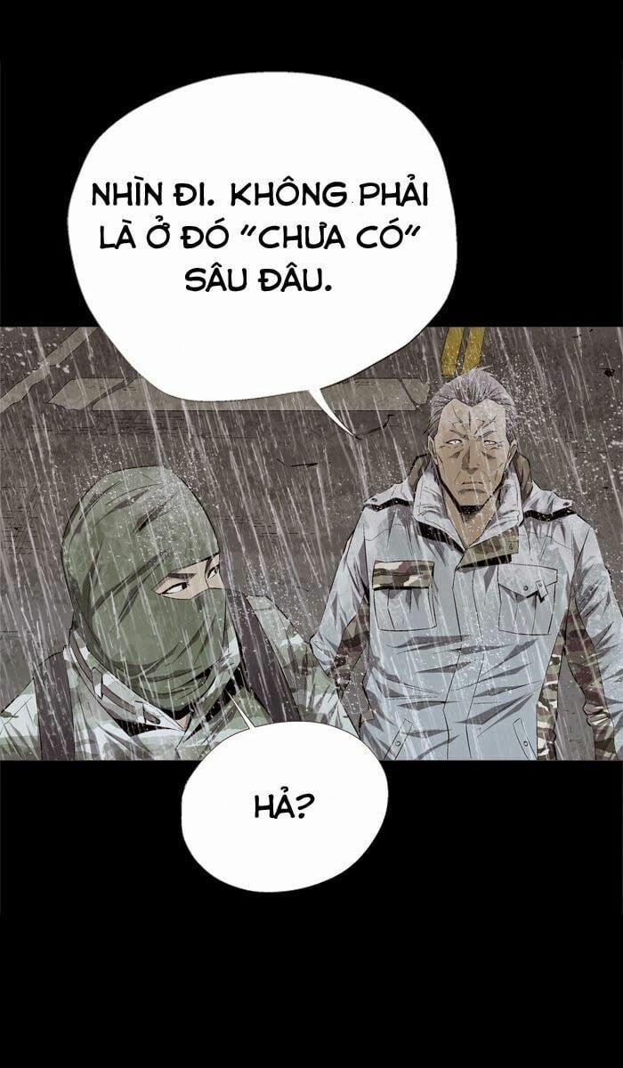 Thảm Họa Ong Độc 54 trang 48