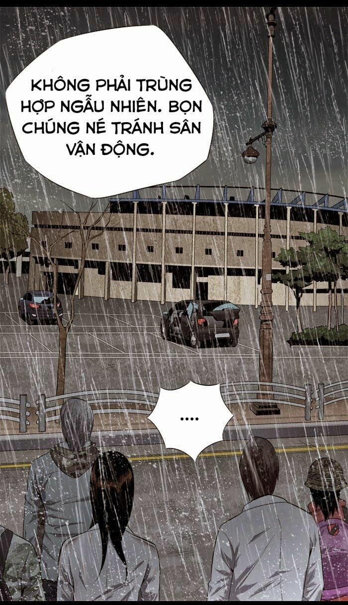 Thảm Họa Ong Độc 54 trang 52