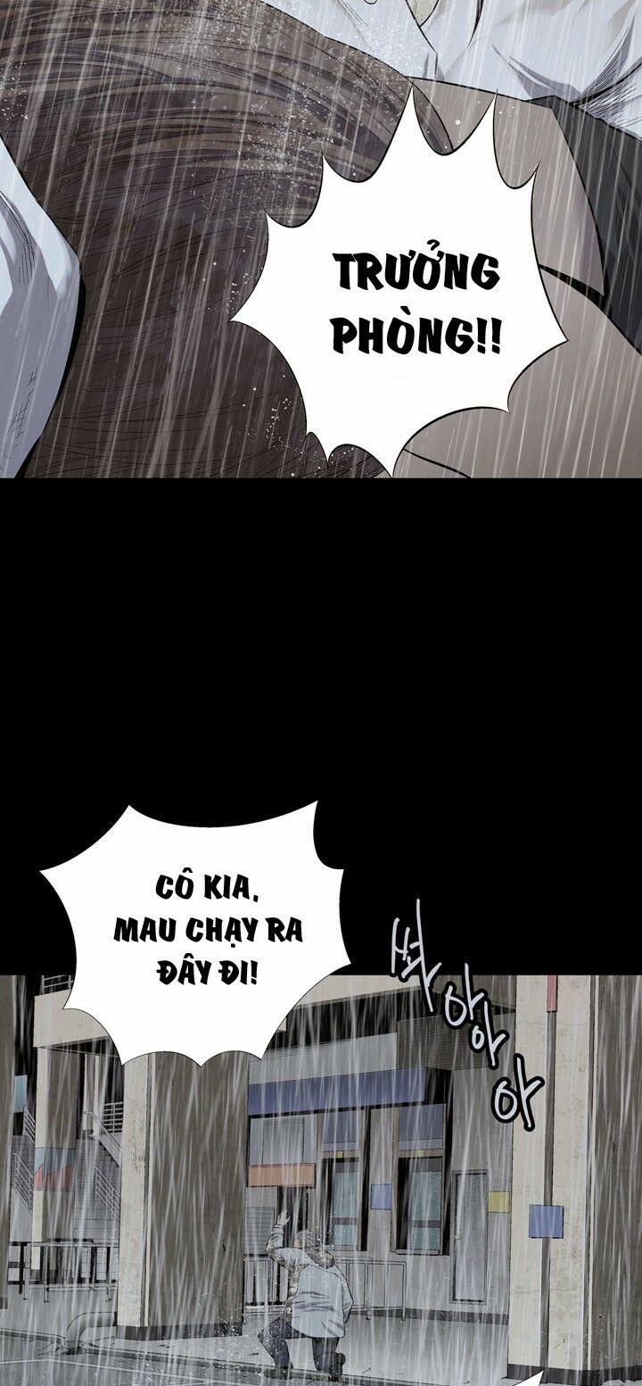 Thảm Họa Ong Độc 55 trang 4