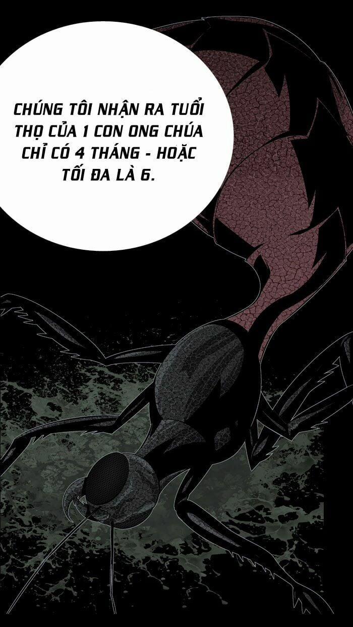 Thảm Họa Ong Độc 59 trang 69