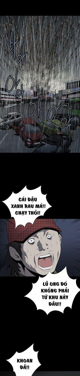 Thảm Họa Ong Độc 61 trang 4