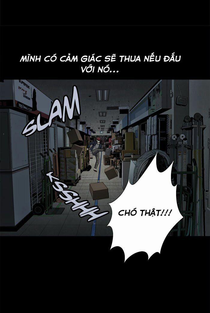 Thảm Họa Ong Độc 64 trang 45