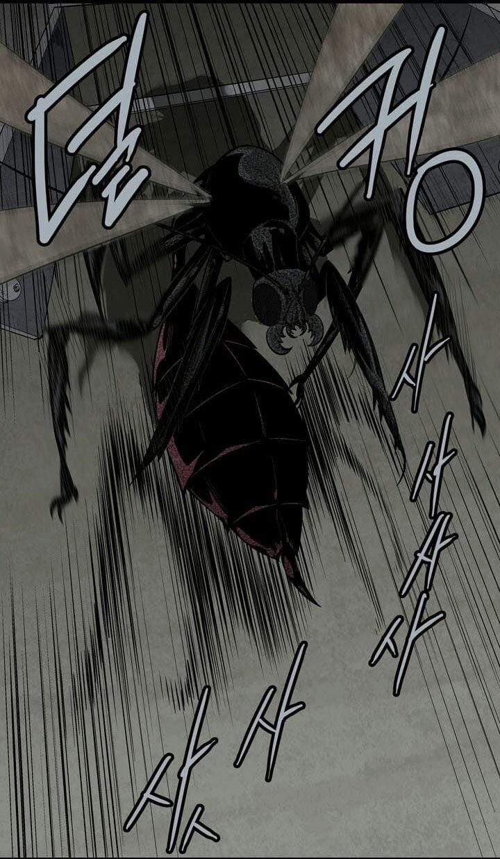 Thảm Họa Ong Độc 66 trang 11