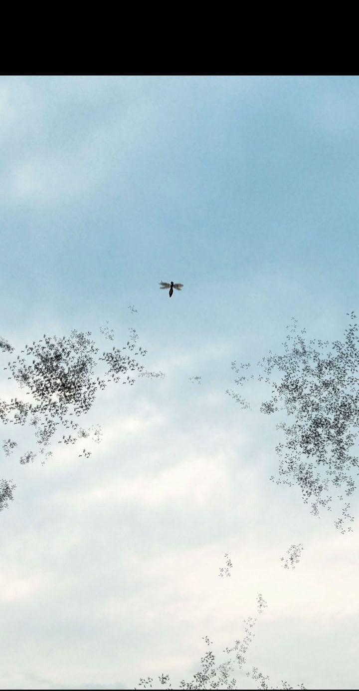 Thảm Họa Ong Độc 71 trang 59