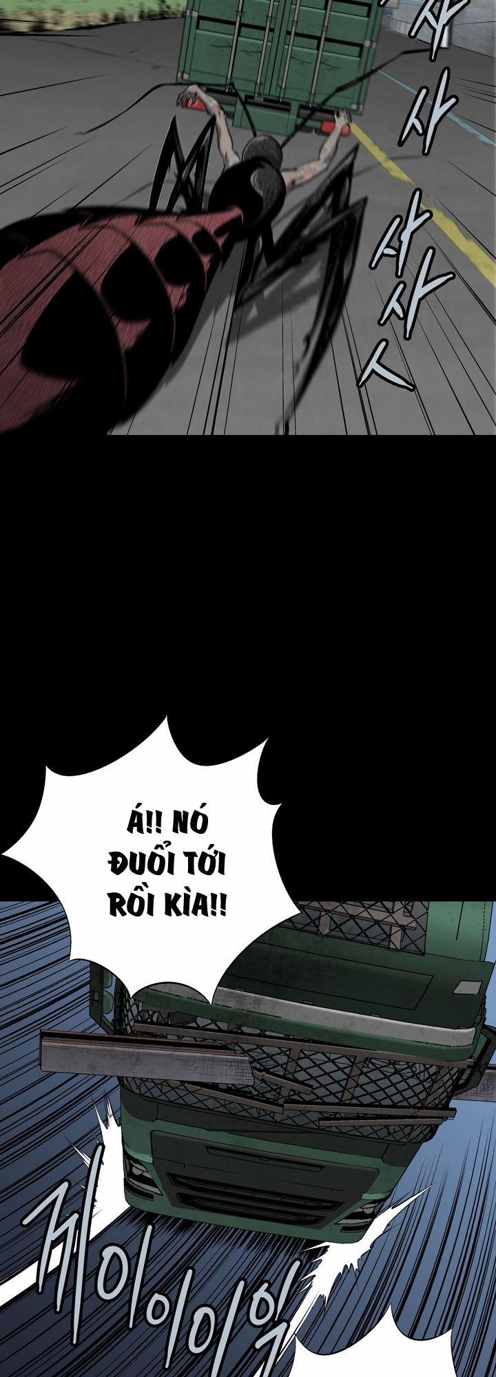 Thảm Họa Ong Độc 72 trang 11