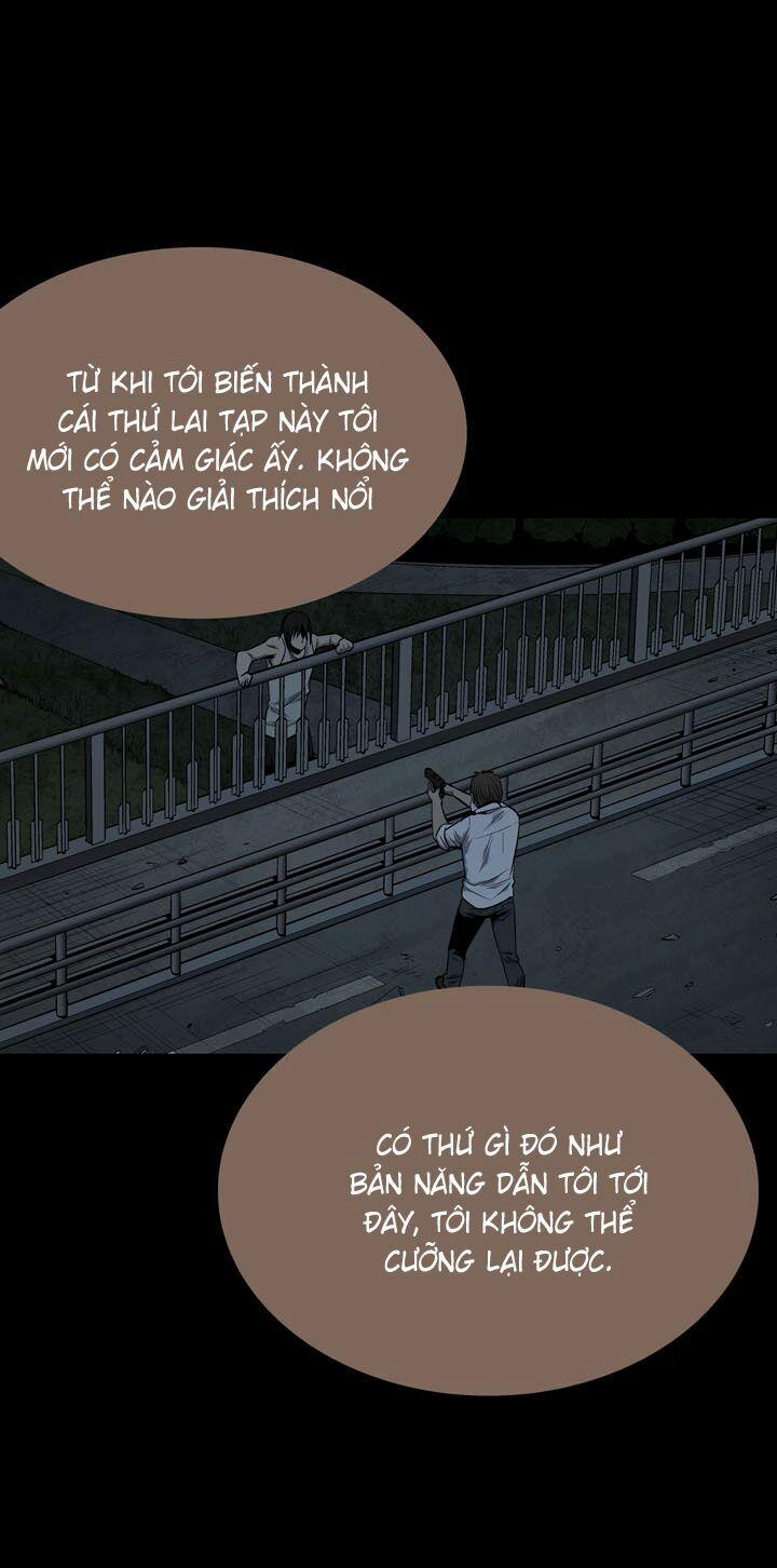 Thảm Họa Ong Độc 79 trang 31