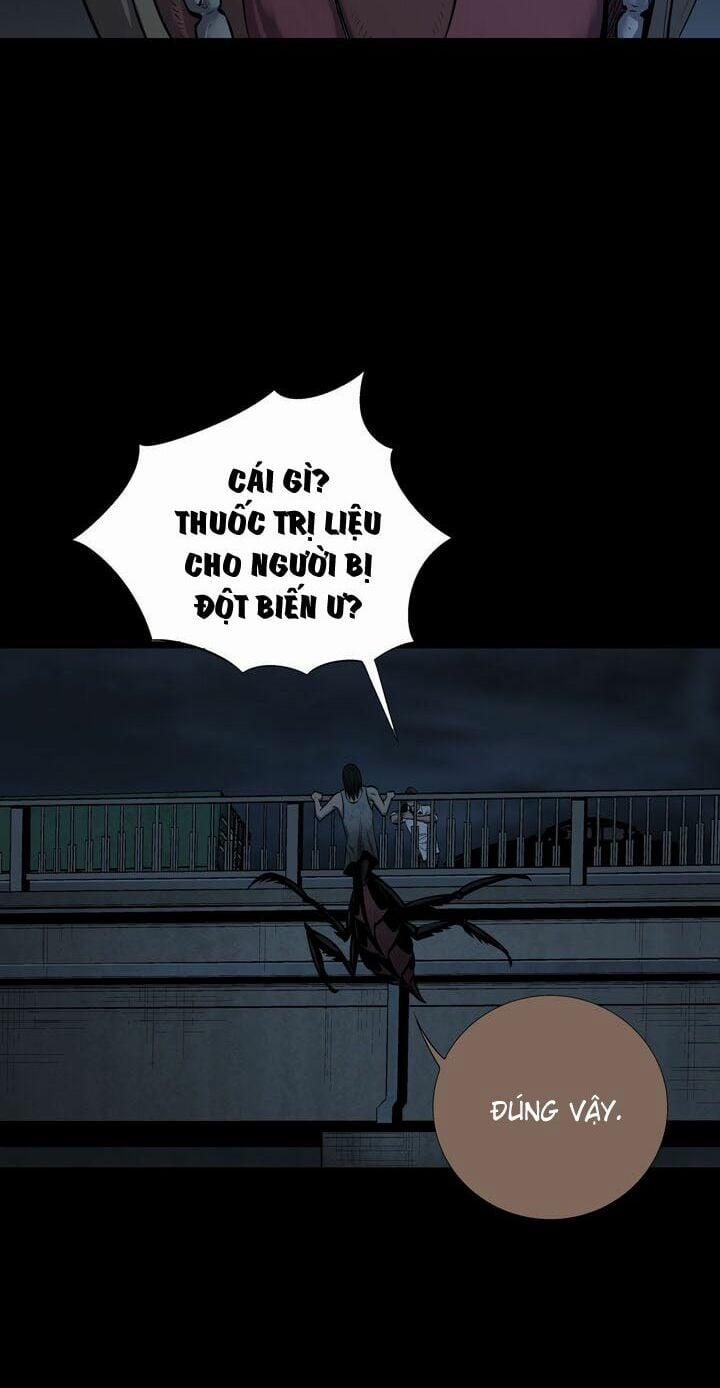 Thảm Họa Ong Độc 79 trang 40