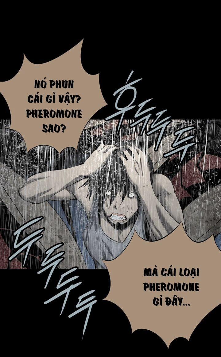 Thảm Họa Ong Độc 84 trang 10