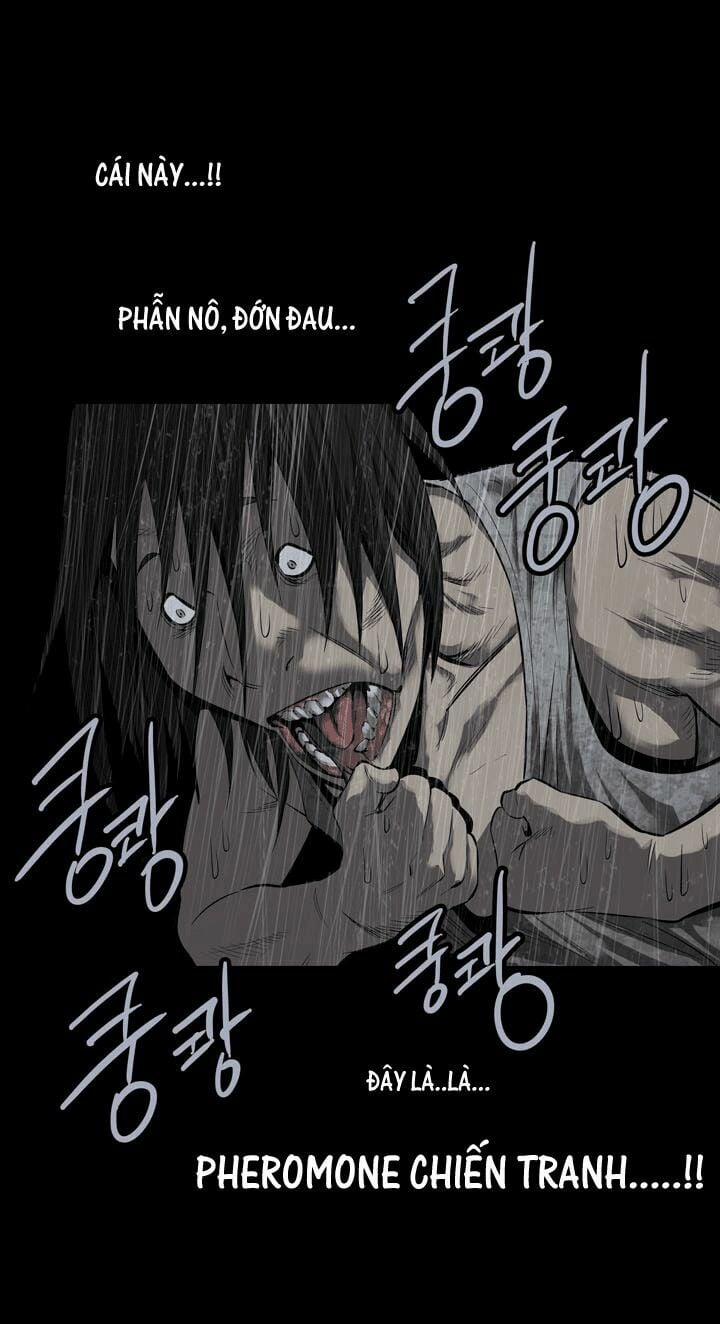 Thảm Họa Ong Độc 84 trang 12