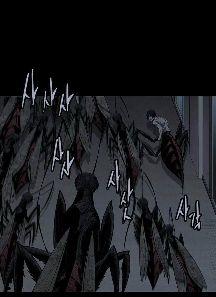 Thảm Họa Ong Độc 84 trang 2