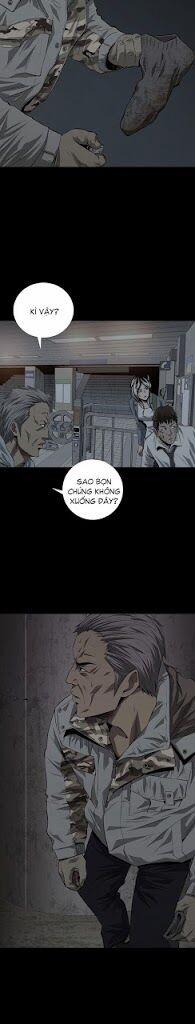 Thảm Họa Ong Độc 9 trang 23