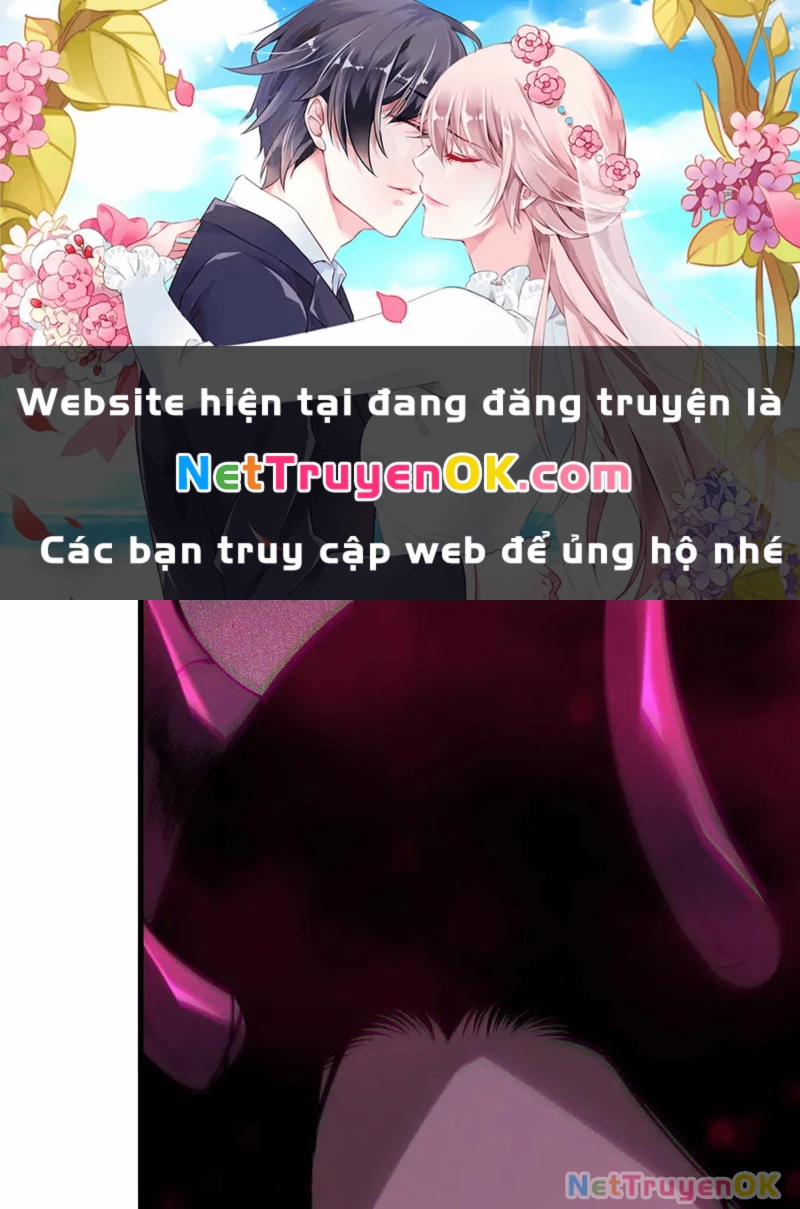 Thảm Họa Tử Linh Sư 133 trang 0