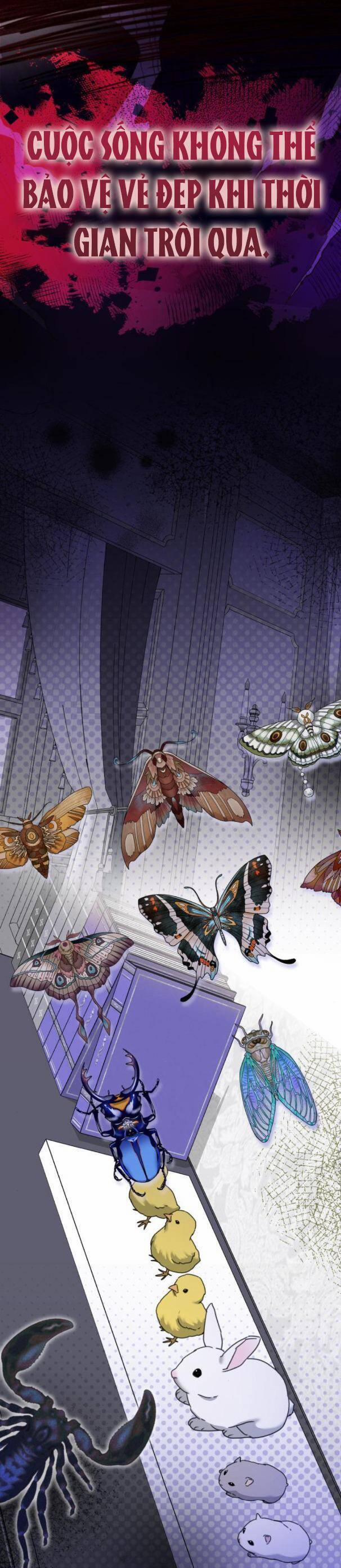 Thần Hổ Jangsan 38 trang 25