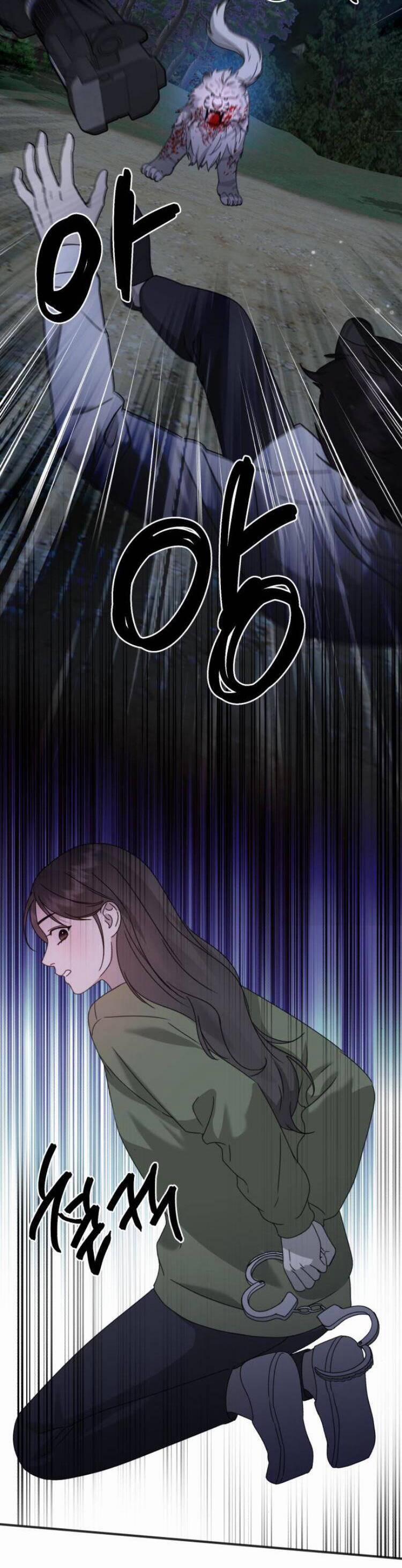 Thần Hổ Jangsan 45 trang 18