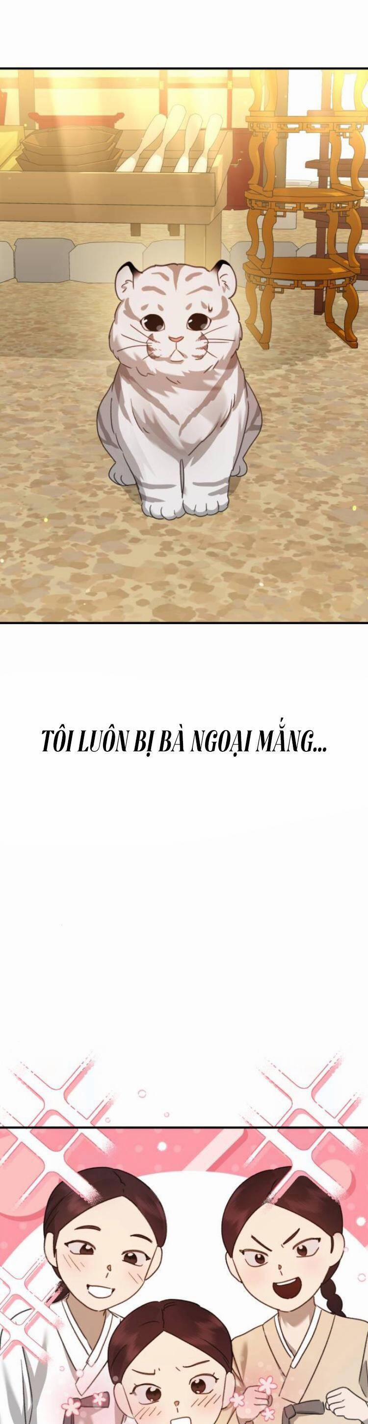 Thần Hổ Jangsan 47 trang 17