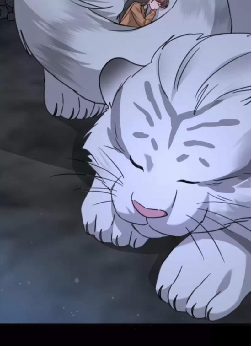 Thần Hổ Jangsan 48 trang 161