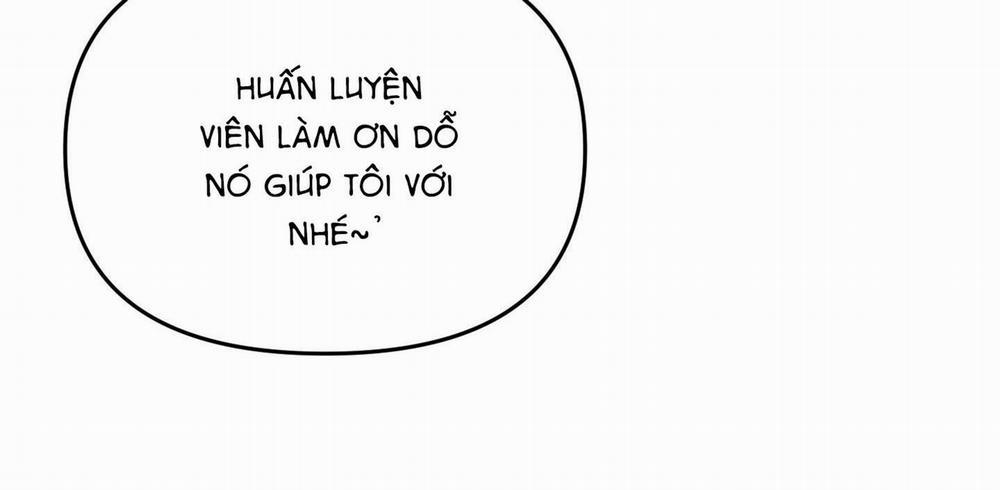 Thán Phục Thanh Xuân 54 trang 13