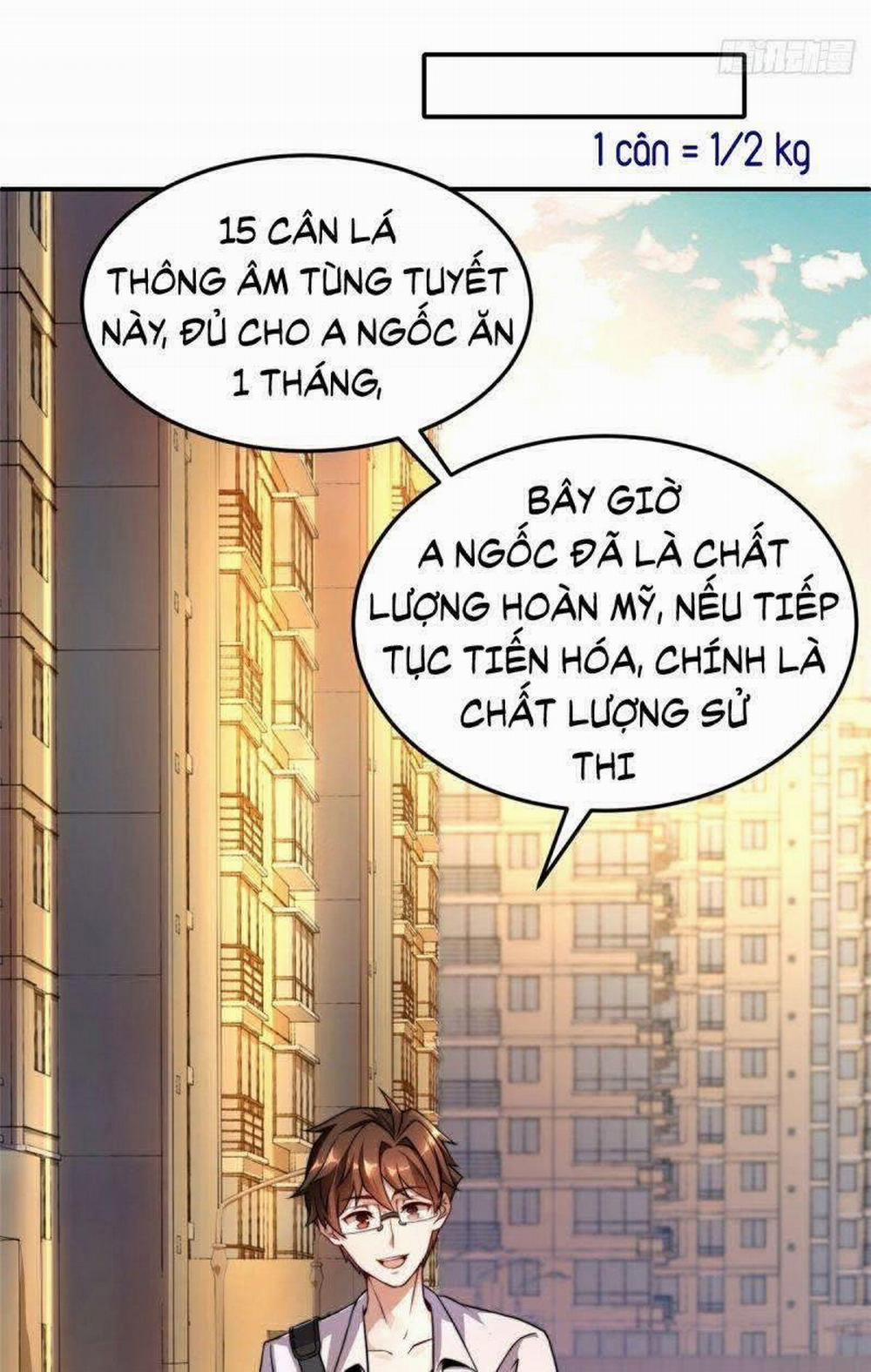 Thần Sủng Tiến Hóa 12 trang 11