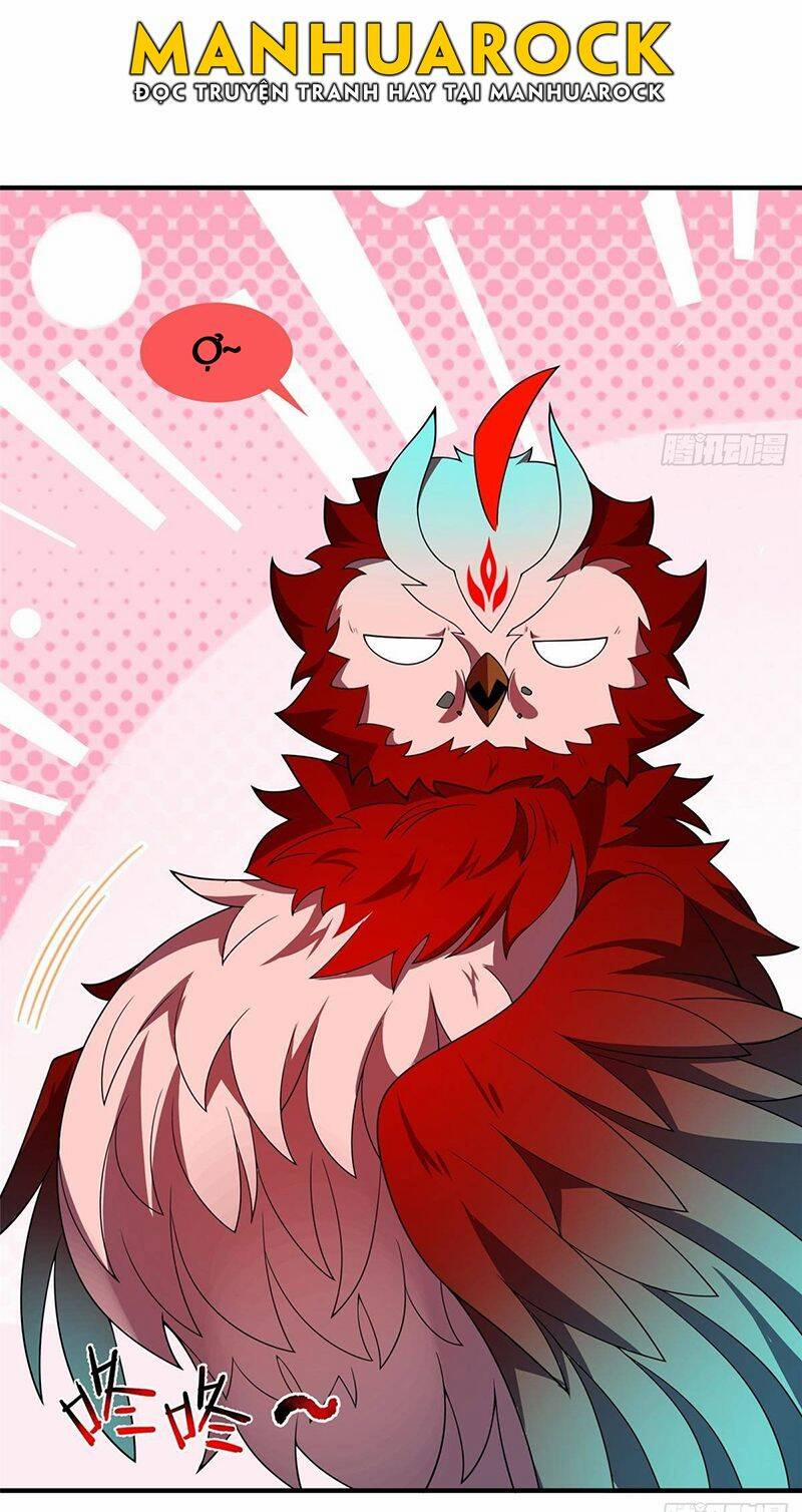 Thần Sủng Tiến Hóa 312 trang 25